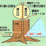 問題を解決するために